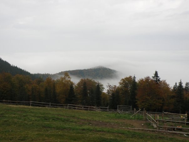Наталія Тацишин-Войчишин | Ивано-Франковск