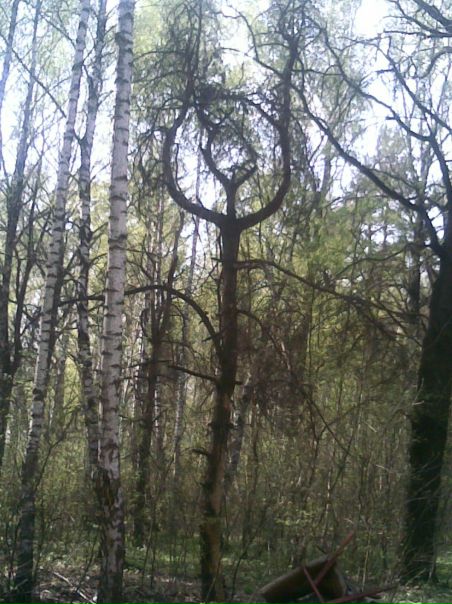 №65, Александр Андреев, Липецк №65, Александр Андреев, Липецк