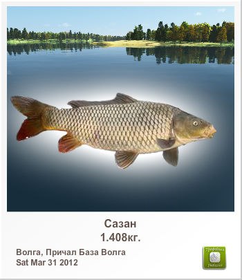 Сергей Лисин | Киев