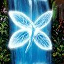 Сергей Сакада Nigђtmare | Киев