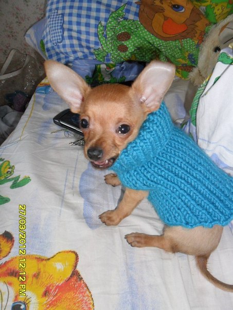 №110, Олеся Семакова, Северодвинск №110, Олеся Семакова, Северодвинск