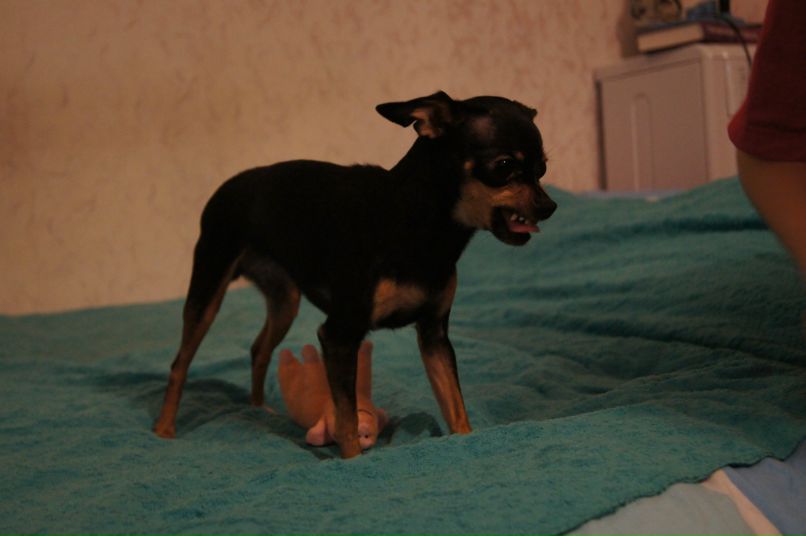 Аня Иванова | Москва