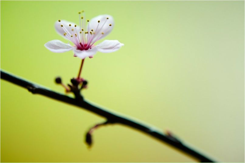 Оля Похилько | Киев