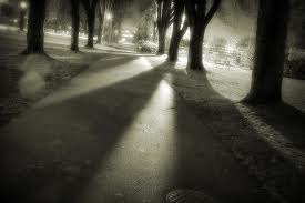 Дима Агарков | 