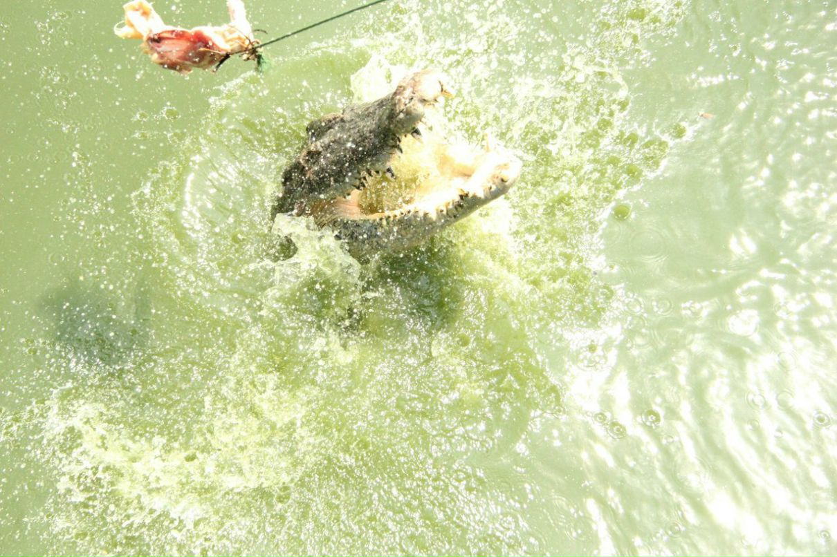 Николай Михайлов | Саввинская Слобода