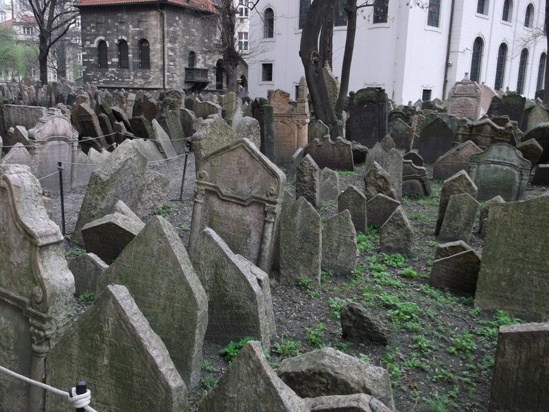 Виктория Эфэм | Berlin