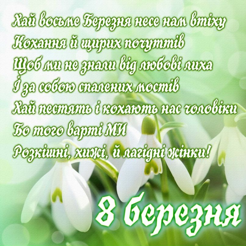 Алёна Матус | Могилев-Подольский