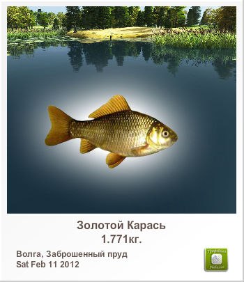 Тимур Григорьев Николаевич | Казань