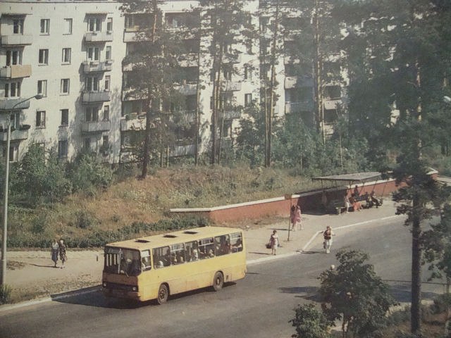 Алёна Софронова | Санкт-Петербург