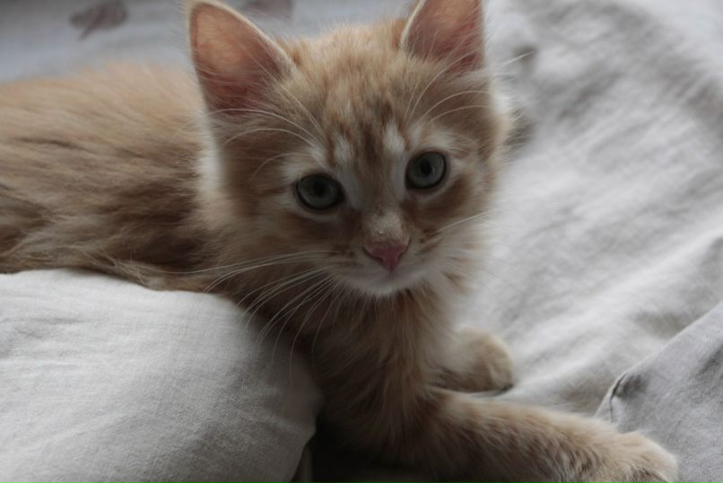 Полина Букина | Москва