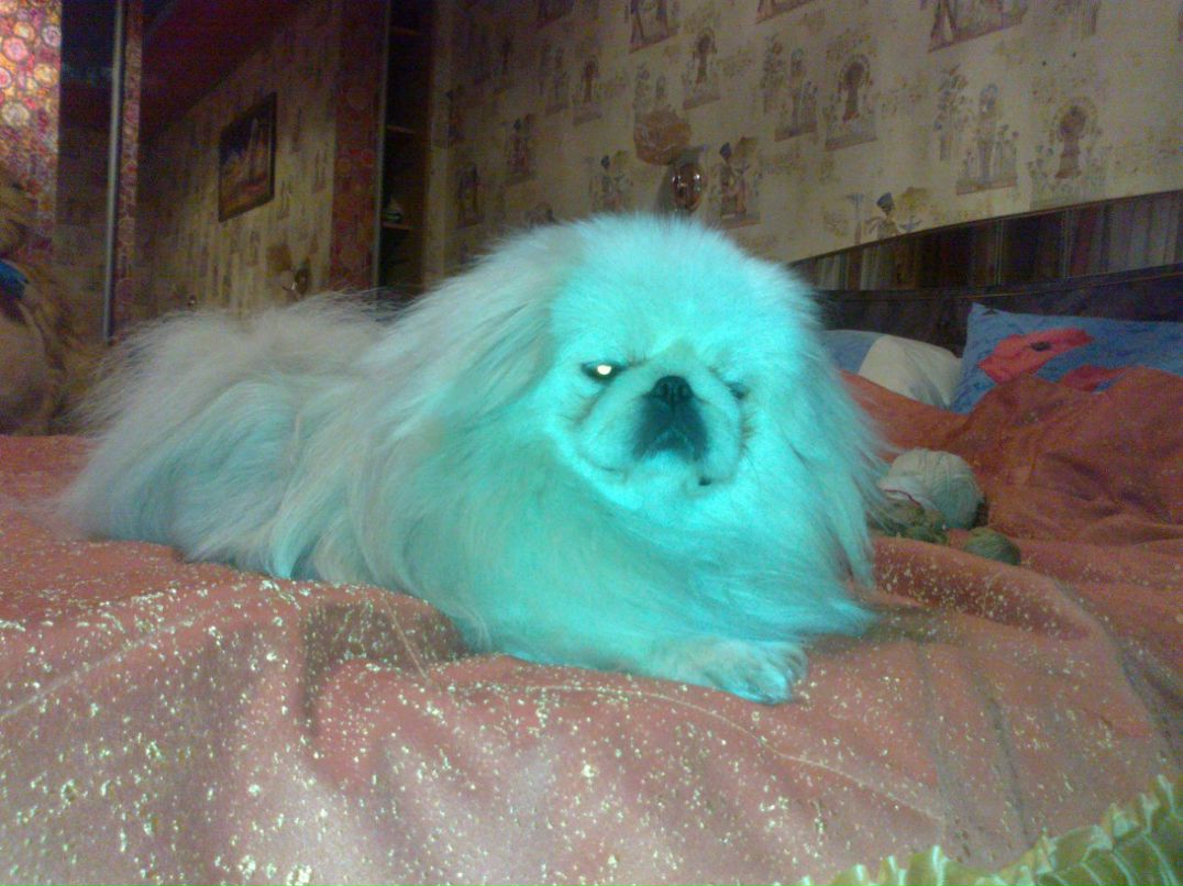 Маргарита Кругман | Днепр (Днепропетровск)