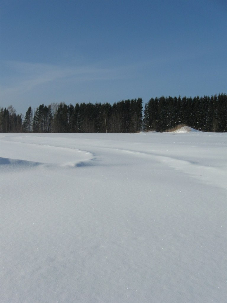 Татьяна Борисова | 