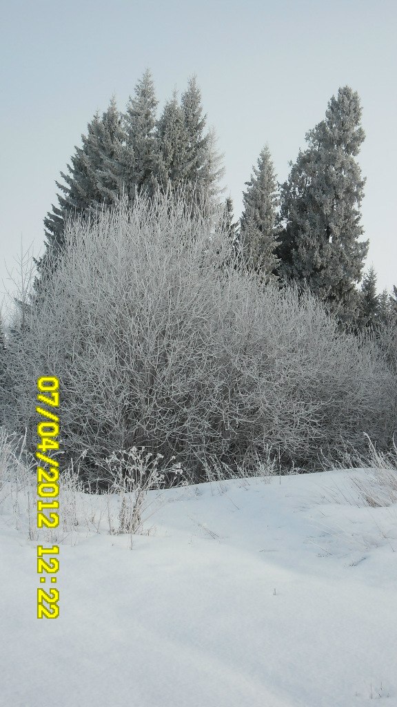 Михаил Силин | Пермь