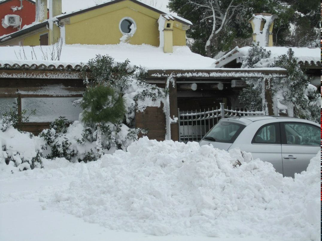 Виктория Бачина | Pesaro