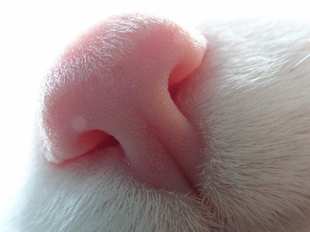 Ольга Чиндяскина HelDi | Тирасполь