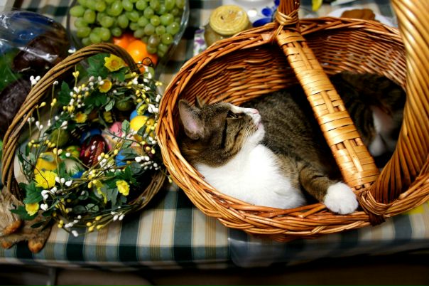 №19, Татьяна Михалёва №19, Татьяна Михалёва