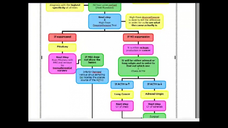 Endocrinology Cushing