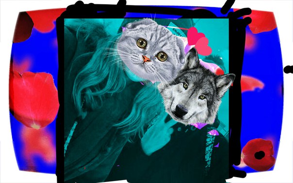 Алина Колесникова, Россия, Балашиха