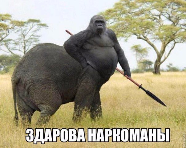 Сашок Белый, Россия, Москва