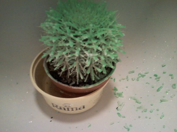 Ольга Фещенко, Россия, Москва