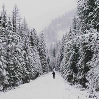 Потапов Николай