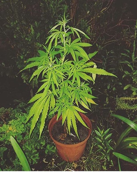 Эрик Огнев, Казахстан, Темиртау