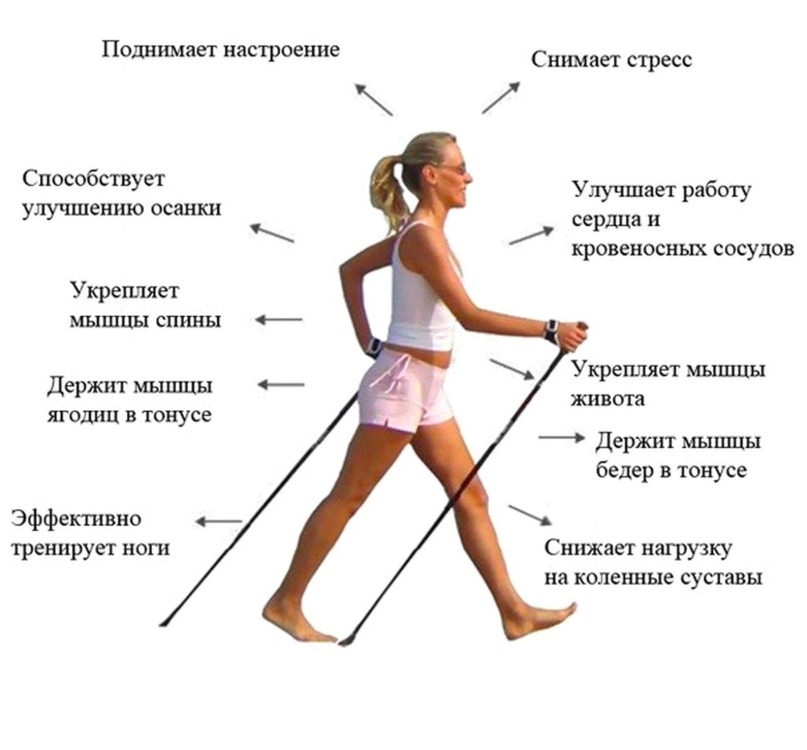 1000000000 пудов)))))))) скандинавская ходьба с палками при шейном остеохондрозе что тут