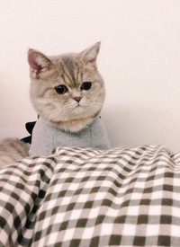 Алексей Карелин