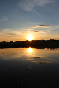 Альфред Васькин
