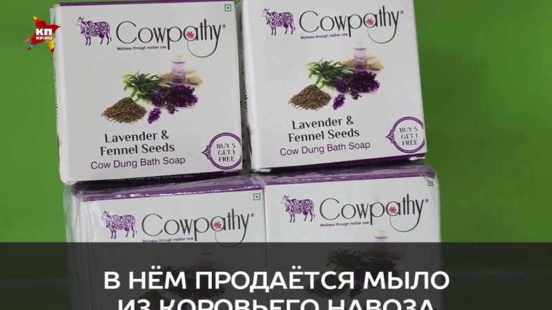 В Индии предлагают мыться коровьим