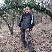 Владимир Пархоменко