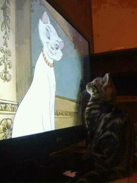 Саша Демидова, Россия, Санкт-Петербург