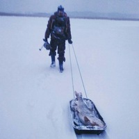 Владимир Степанов