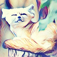 Дарина Кузьмина