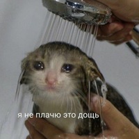 Александр Русанов