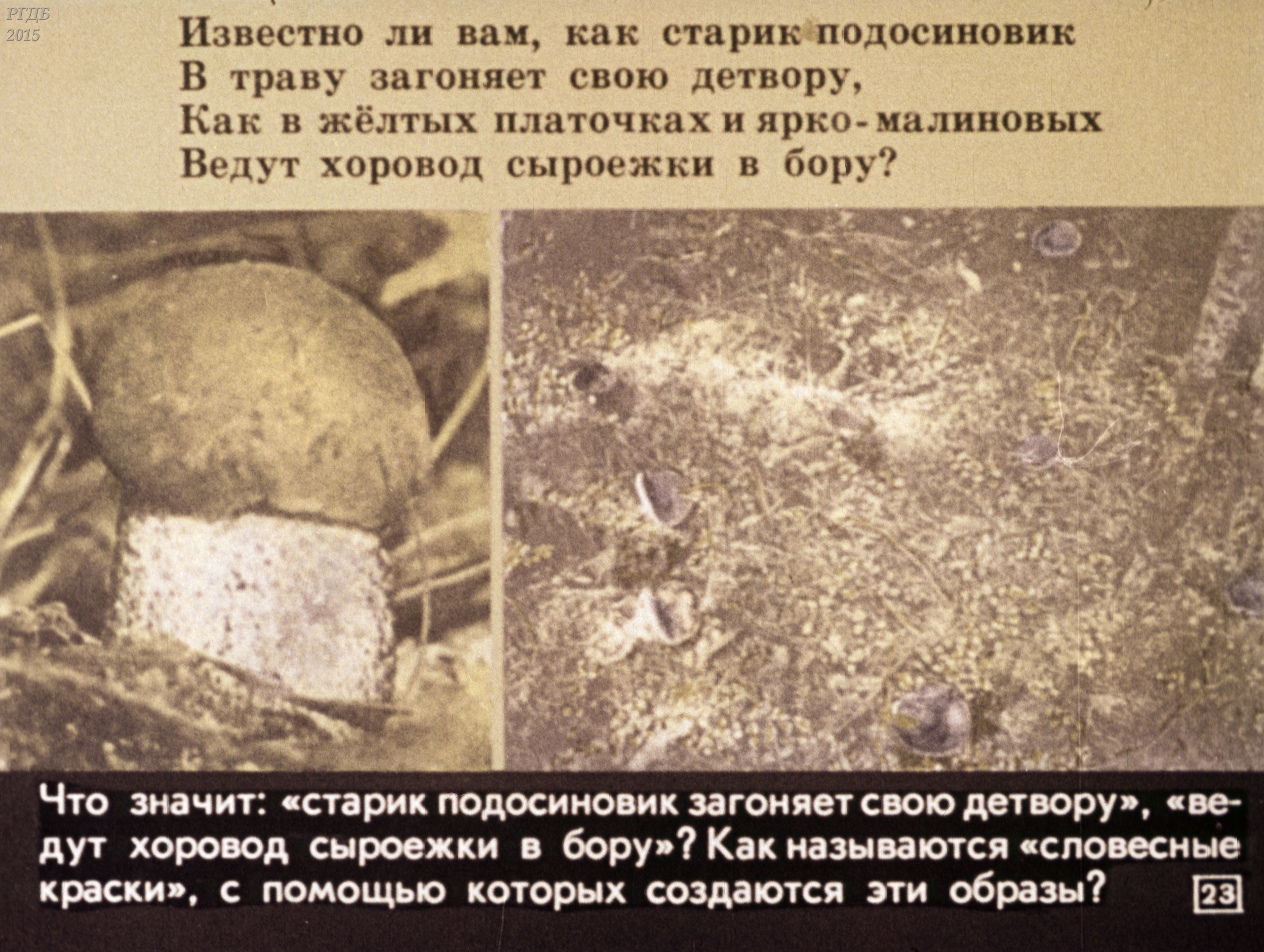Смотреть диафильм "А стежка все вьется, А стежка все манит" Смотреть диафильм "А стежка все вьется, А стежка все манит"