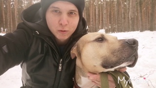 Трейлер нового выпуска/
 Злой Питбуль или собака убийца!