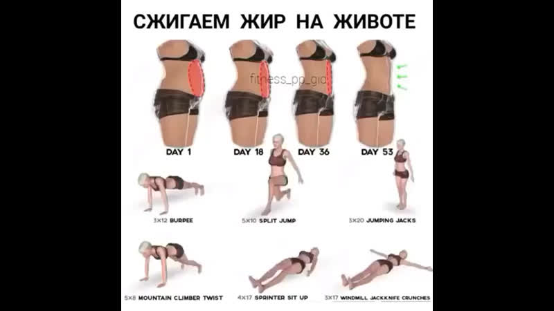 Сжечь Жир С Живота Женщине. Сжигание жира на животе: эффективные средства, упражнения и диета