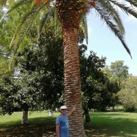 Валерий Кузнецов