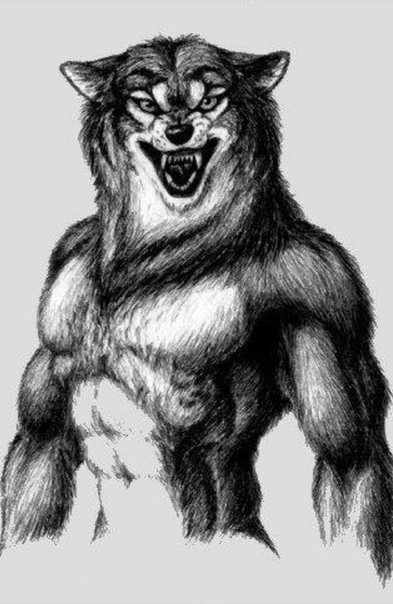 Алексей Петров, Россия, Чебоксары