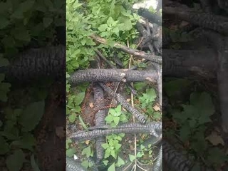 Гурман без архитектуры не станет гурманом в еде