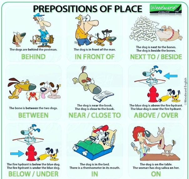 англ яз 4 кл предлоги. магазин варп плейс краснодар. английский язык prepositions of place. Present place. Present place.