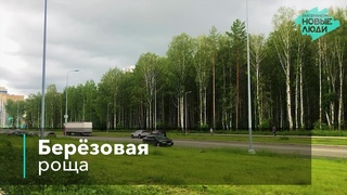 Берёзовая роща | Не терпи  Говори!