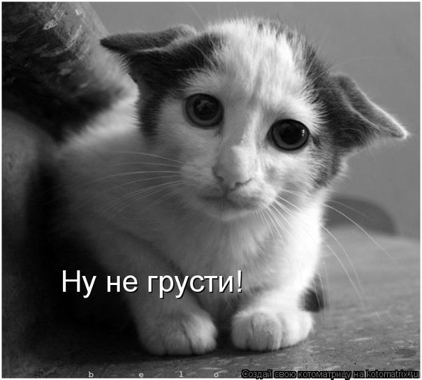 №52, Евгения Архипова, Кингисепп №52, Евгения Архипова, Кингисепп