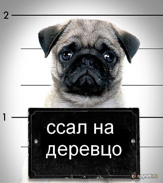 №42, Вадим Костюк, 40 лет, Луцк №42, Вадим Костюк, 40 лет, Луцк