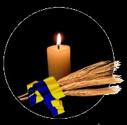 №23, Ігор Радь №23, Ігор Радь