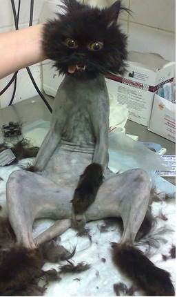 №7, Руслан Цыганенко, 41 год, Ромны №7, Руслан Цыганенко, 41 год, Ромны