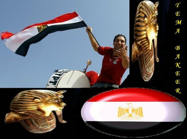 №5, Tema Bakeer №5, Tema Bakeer