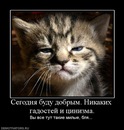 Фотография Никита Гавриш
