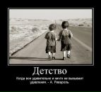 Фотография Phoenix Guru